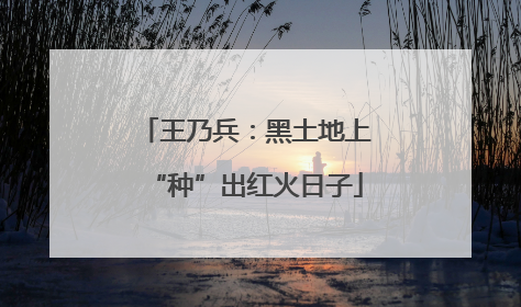 王乃兵：黑土地上“种”出红火日子