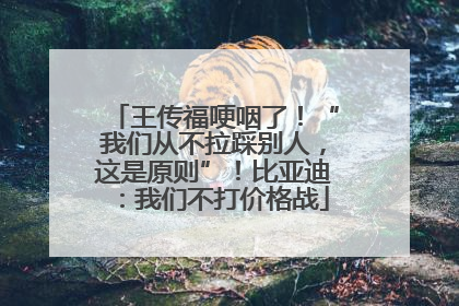 王传福哽咽了！“我们从不拉踩别人，这是原则”！比亚迪：我们不打价格战