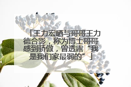 王力宏晒与哥哥王力德合影，称为博士哥哥感到骄傲，曾透露“我是我们家最弱的”