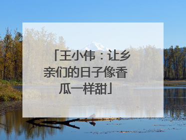 王小伟：让乡亲们的日子像香瓜一样甜