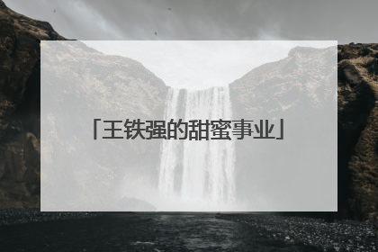 王铁强的甜蜜事业