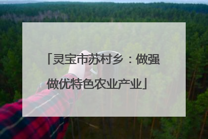 灵宝市苏村乡：做强做优特色农业产业