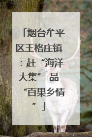烟台牟平区王格庄镇：赶“海洋大集” 品“百果乡情”