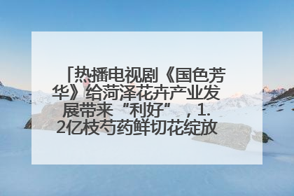 热播电视剧《国色芳华》给菏泽花卉产业发展带来“利好”，1.2亿枝芍药鲜切花绽放“国色芳华”