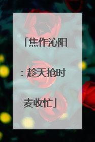 焦作沁阳：趁天抢时麦收忙