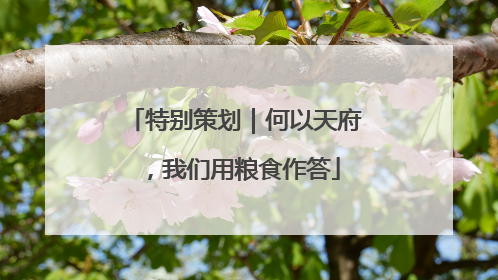 特别策划｜何以天府，我们用粮食作答