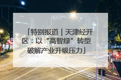 特别报道｜天津经开区：以“高智绿”转型破解产业升级压力