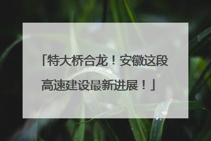 特大桥合龙！安徽这段高速建设最新进展！