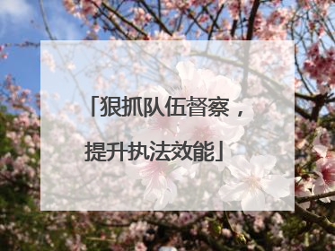 狠抓队伍督察，提升执法效能