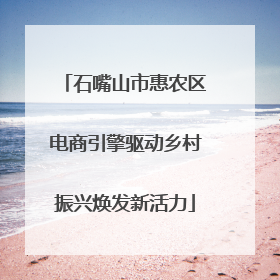 石嘴山市惠农区电商引擎驱动乡村振兴焕发新活力