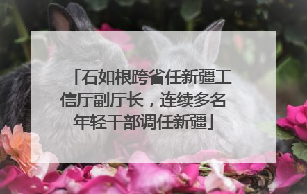 石如根跨省任新疆工信厅副厅长，连续多名年轻干部调任新疆