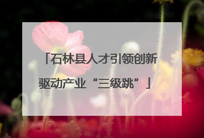 石林县人才引领创新驱动产业“三级跳”
