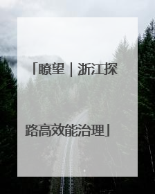 瞭望｜浙江探路高效能治理