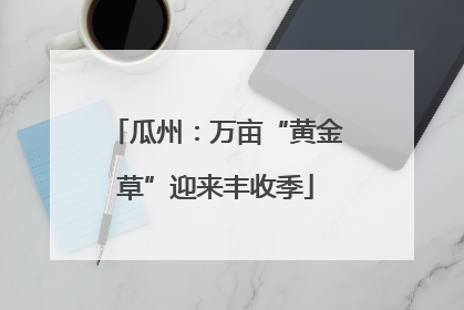 瓜州：万亩“黄金草”迎来丰收季