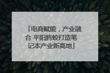 电商赋能，产业融合 平阳腾蛟打造笔记本产业新高地