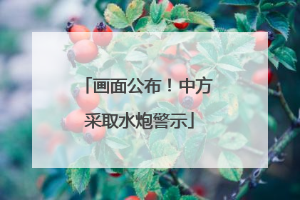 画面公布！中方采取水炮警示