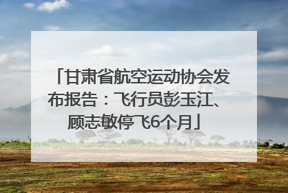 甘肃省航空运动协会发布报告：飞行员彭玉江、顾志敏停飞6个月