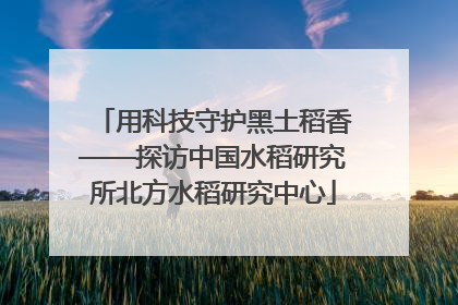 用科技守护黑土稻香——探访中国水稻研究所北方水稻研究中心