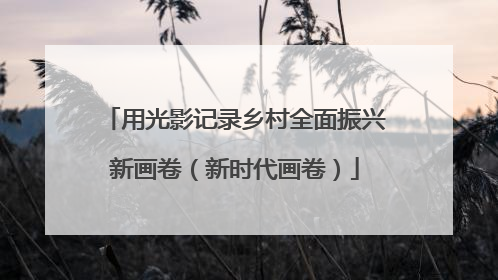 用光影记录乡村全面振兴新画卷（新时代画卷）