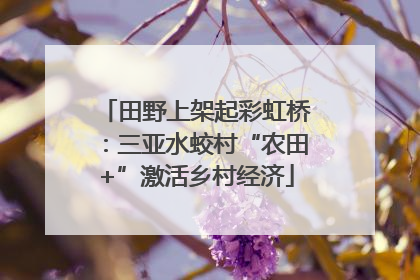 田野上架起彩虹桥：三亚水蛟村“农田+”激活乡村经济