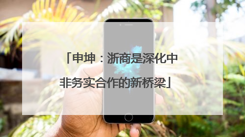 申坤：浙商是深化中非务实合作的新桥梁