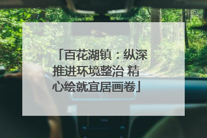百花湖镇：纵深推进环境整治 精心绘就宜居画卷