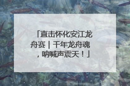 直击怀化安江龙舟赛｜千年龙舟魂，呐喊声震天！