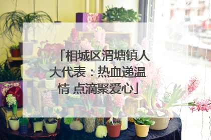 相城区渭塘镇人大代表：热血递温情 点滴聚爱心