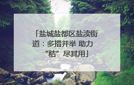 盐城盐都区盐渎街道：多措并举 助力“秸”尽其用