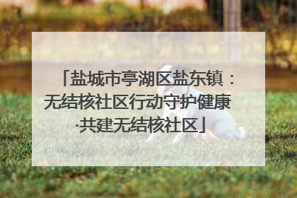 盐城市亭湖区盐东镇：无结核社区行动守护健康 ·共建无结核社区