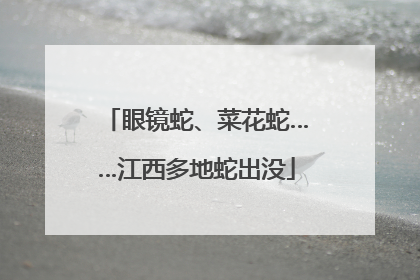 眼镜蛇、菜花蛇……江西多地蛇出没