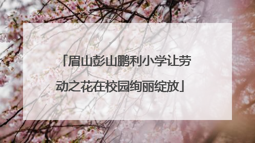 眉山彭山鹏利小学让劳动之花在校园绚丽绽放