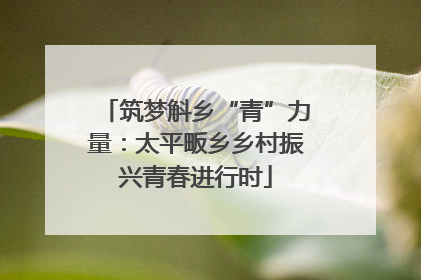 筑梦斛乡“青”力量：太平畈乡乡村振兴青春进行时