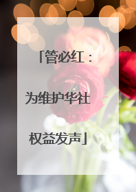 管必红：为维护华社权益发声