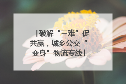 破解“三难”促共赢，城乡公交“变身”物流专线