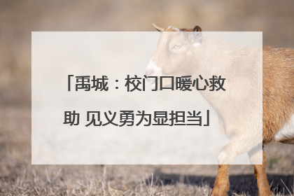 禹城：校门口暖心救助 见义勇为显担当