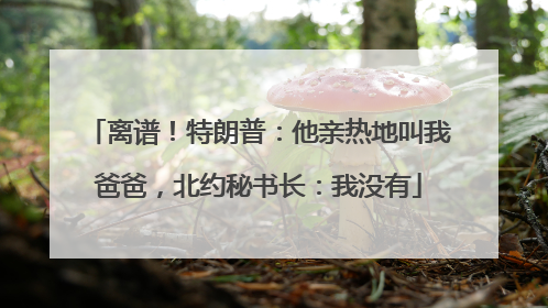 离谱！特朗普：他亲热地叫我爸爸，北约秘书长：我没有