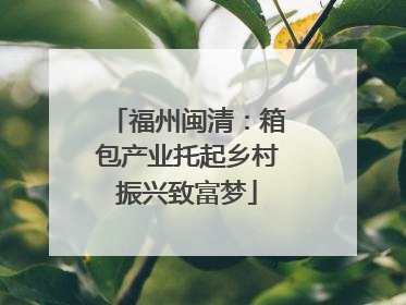 福州闽清：箱包产业托起乡村振兴致富梦
