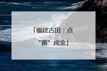 福建古田：点“菌”成金