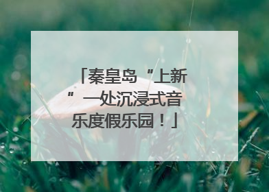 秦皇岛“上新”一处沉浸式音乐度假乐园！