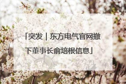 突发｜东方电气官网撤下董事长俞培根信息