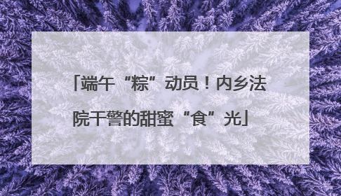 端午“粽”动员！内乡法院干警的甜蜜“食”光