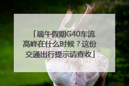 端午假期G40车流高峰在什么时候？这份交通出行提示请查收