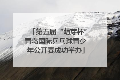 第五届“萌芽杯”青岛国际乒乓球青少年公开赛成功举办