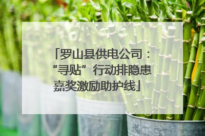 罗山县供电公司：“寻贴”行动排隐患 嘉奖激励助护线