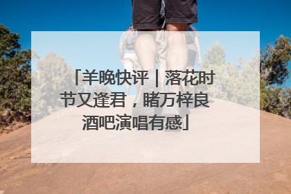 羊晚快评｜落花时节又逢君，睹万梓良酒吧演唱有感