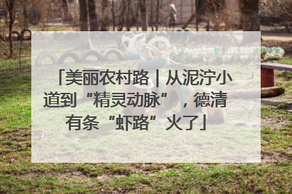美丽农村路｜从泥泞小道到“精灵动脉”，德清有条“虾路”火了