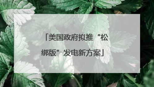 美国政府拟推“松绑版”发电新方案