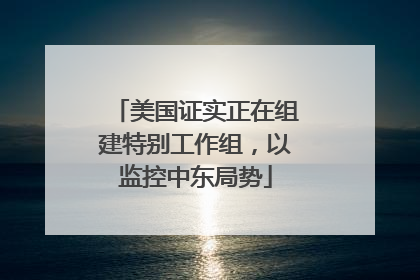 美国证实正在组建特别工作组，以监控中东局势