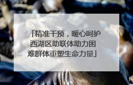 精准干预，暖心呵护 西湖区助联体助力困难群体重塑生命力量